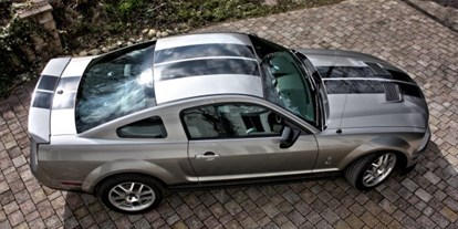 Hochzeitsauto-Vermietung - Shelby GT500 - Shelby GT500 von Autovermietung Ing. Alfred Schoenwetter