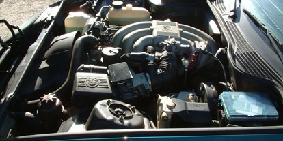 Hochzeitsauto-Vermietung - Antrieb: Benzin - BMW Z1 von Classic Roadster München