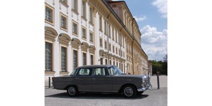 Hochzeitsauto-Vermietung - Farbe: Grau - Mercedes Benz 230 Heckflosse von Classic Roadster München