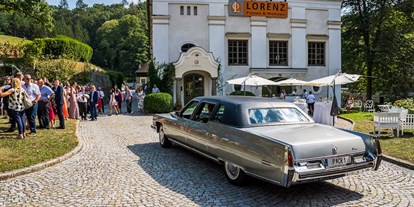 Hochzeitsauto-Vermietung - Farbe: Silber - Niederösterreich - Cadillac Fleetwood Limousine