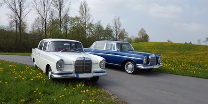Hochzeitsauto-Vermietung - Einzugsgebiet: regional - PLZ 76133 (Deutschland) - Die Mercedes "Heckflosse" vermieten wir in blau und weiß am Bodensee und im Allgäu. - Tolle OIdtimer Hochzeitsautos mieten am Bodensee