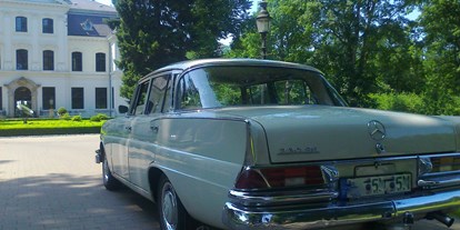 Hochzeitsauto-Vermietung - Farbe: Weiß - Die Heckflosse - Oldtimer Fahrdienst