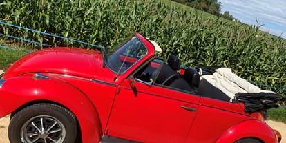 Hochzeitsauto-Vermietung - Chauffeur: Chauffeur buchbar - VW Käfer Cabriolet rot