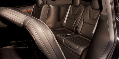 Hochzeitsauto-Vermietung - Farbe: Schwarz - Mitte und die hinteren 2 Sitzplätze - Tesla Model X mit einzigartigen Flügeltüren in Spacegry 