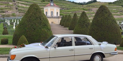 Hochzeitsauto-Vermietung - Chauffeur: nur mit Chauffeur - Mercedes Benz S 280 SE   W116   in Dresden