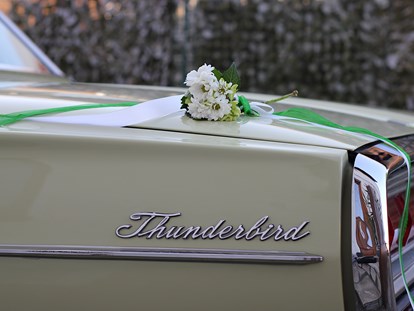 Hochzeitsauto-Vermietung - Antrieb: Benzin - PLZ 4943 (Österreich) - DREAMLINER Ford Thunderbird 1966