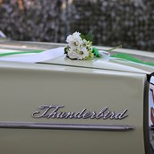 Hochzeitsauto-Vermietung: DREAMLINER Ford Thunderbird 1966