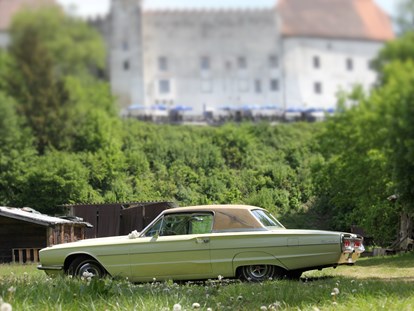 Hochzeitsauto-Vermietung - Versicherung: Teilkasko - Bäderdreieck - DREAMLINER Ford Thunderbird 1966