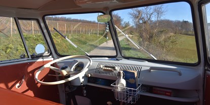 Hochzeitsauto-Vermietung - Tiere erlaubt - Schwechat - VW Bus T1 von Book a Bulli.com