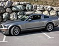 Hochzeitsauto: Shelby GT500 - Shelby GT500 von Autovermietung Ing. Alfred Schoenwetter