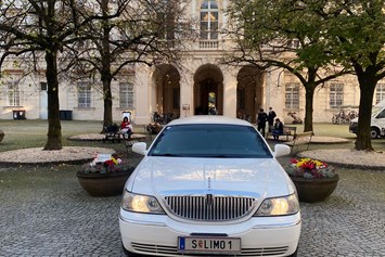 Hochzeitsauto: Lincoln Town Car von Amadeus Limousines