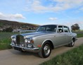 Hochzeitsauto: Rolls Royce Silver Shadow I