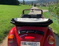 Hochzeitsauto: Auch mit Chauffeur buchbar - VW Käfer Cabriolet rot