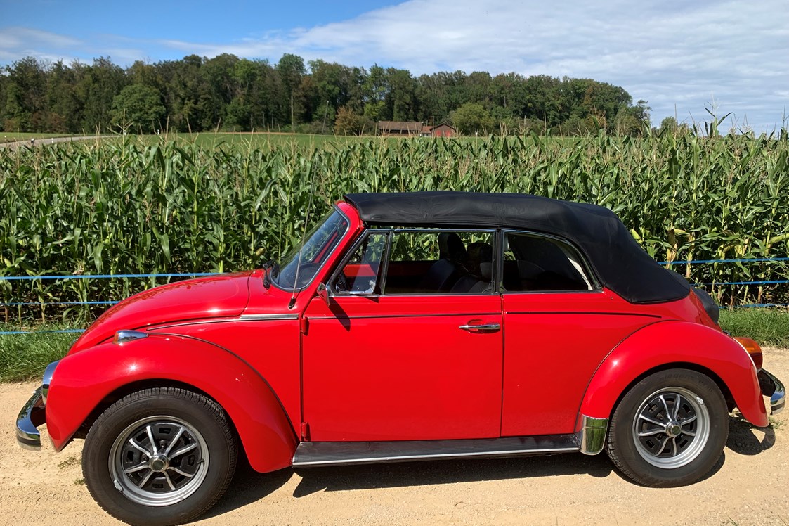 Hochzeitsauto: VW Käfer Cabriolet rot