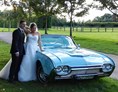 Hochzeitsauto: Thunderbird Cabrio - Hochzeitsauto.NRW