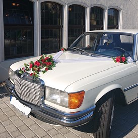 Hochzeitsauto: Mercedes Benz S 280 SE   W116   in Dresden