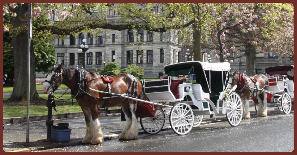 Geschlossene Kutsche - Viktoria