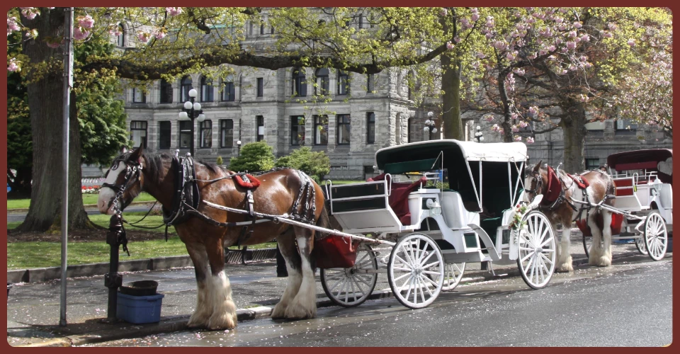 Geschlossene Kutsche - Viktoria