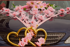 Ein Hochzeitsauto - Perfekt auch als Geschenk für Braut und Bräutigam - hochzeits-auto.info