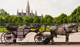 Mit der Pferdekutsche wie einst Sissi zum Traualtar