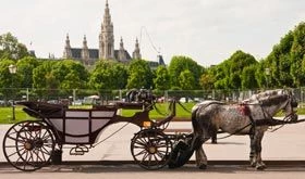 Direkter Kontakt zu Vermietern