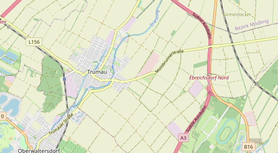 Hochzeits-Auto auf Karte