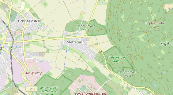 Hochzeits-Auto auf Karte