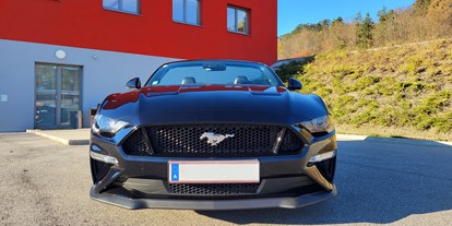 Hochzeitsauto-Vermietung - Einzugsgebiet: national - Baumgarten am Tullnerfeld - Ford Mustang GT5.0 Cabrio - Ford Mustang GT5.0 Cabrio von Autovermietung Ing. Alfred Schoenwetter