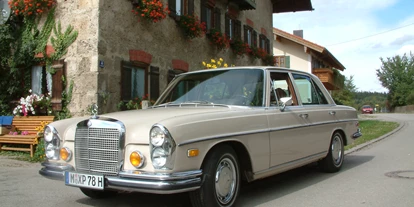 Hochzeitsauto-Vermietung - Farbe: Beige - Oberschleißheim - Mercedes Benz 280 SE 4.5 von Classic Roadster München