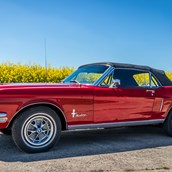 Hochzeitsauto - yellowhummer Ford Mustang Oldtimer