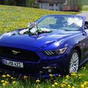 Hochzeitsauto - yellowhummer Ford Mustang GT 