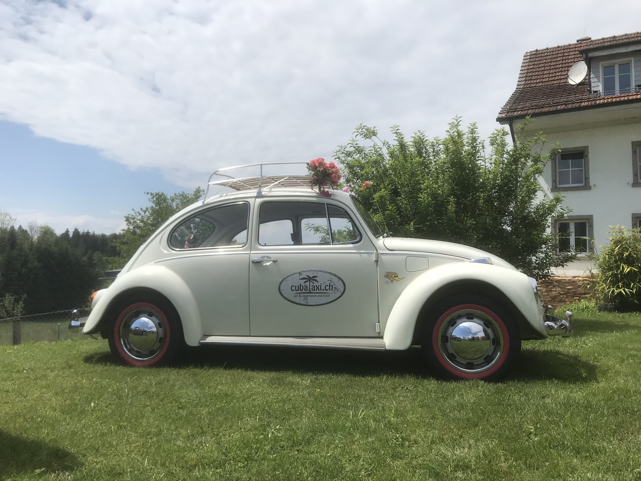 Hochzeitsauto - Birdie