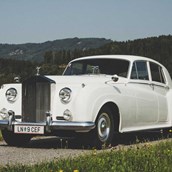 Hochzeitsauto - Rolls Royce Silver Cloud II