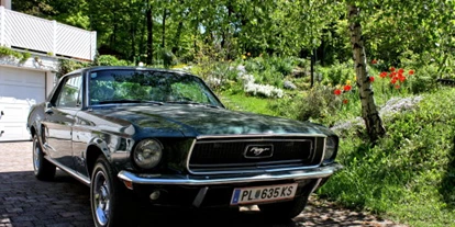 Hochzeitsauto-Vermietung - Farbe: Grün - Breitenfurt bei Wien - Ford Mustang Hardtop 289 Bj. 68 - Ford Mustang Hardtop Bj. 68 von Autovermietung Ing. Alfred Schoenwetter