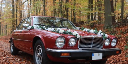 Hochzeitsauto-Vermietung - Art des Fahrzeugs: Oldtimer - Hürup - Jaguar XJ6 Limousine