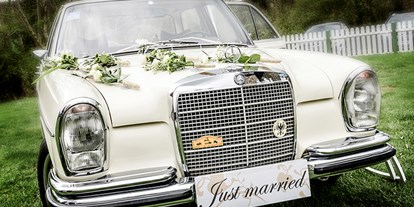 Hochzeitsauto-Vermietung - Marke: Mercedes Benz - PLZ 32257 (Deutschland) - Mercedes W108 von Ihre Traumfahrt