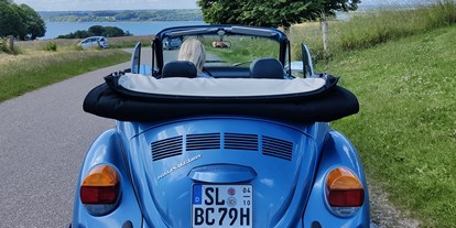 Hochzeitsauto-Vermietung - Farbe: Blau - Maasbüll - VW Käfer Cabrio