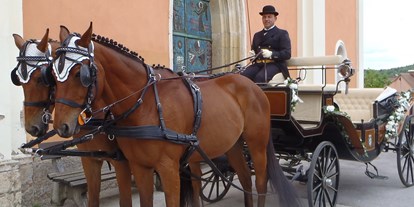 Hochzeitsauto-Vermietung - Einzugsgebiet: national - Steiermark - Hochzeitskutsche