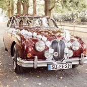 Hochzeitsfahrten: Jaguar MK 2 - Hochzeitsfahrten Bonn: Exklusiv Paket