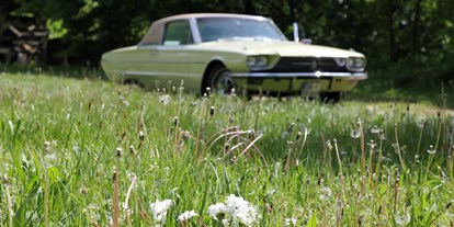 Hochzeitsauto-Vermietung - Versicherung: Teilkasko - Perwart - DREAMLINER Ford Thunderbird 1966