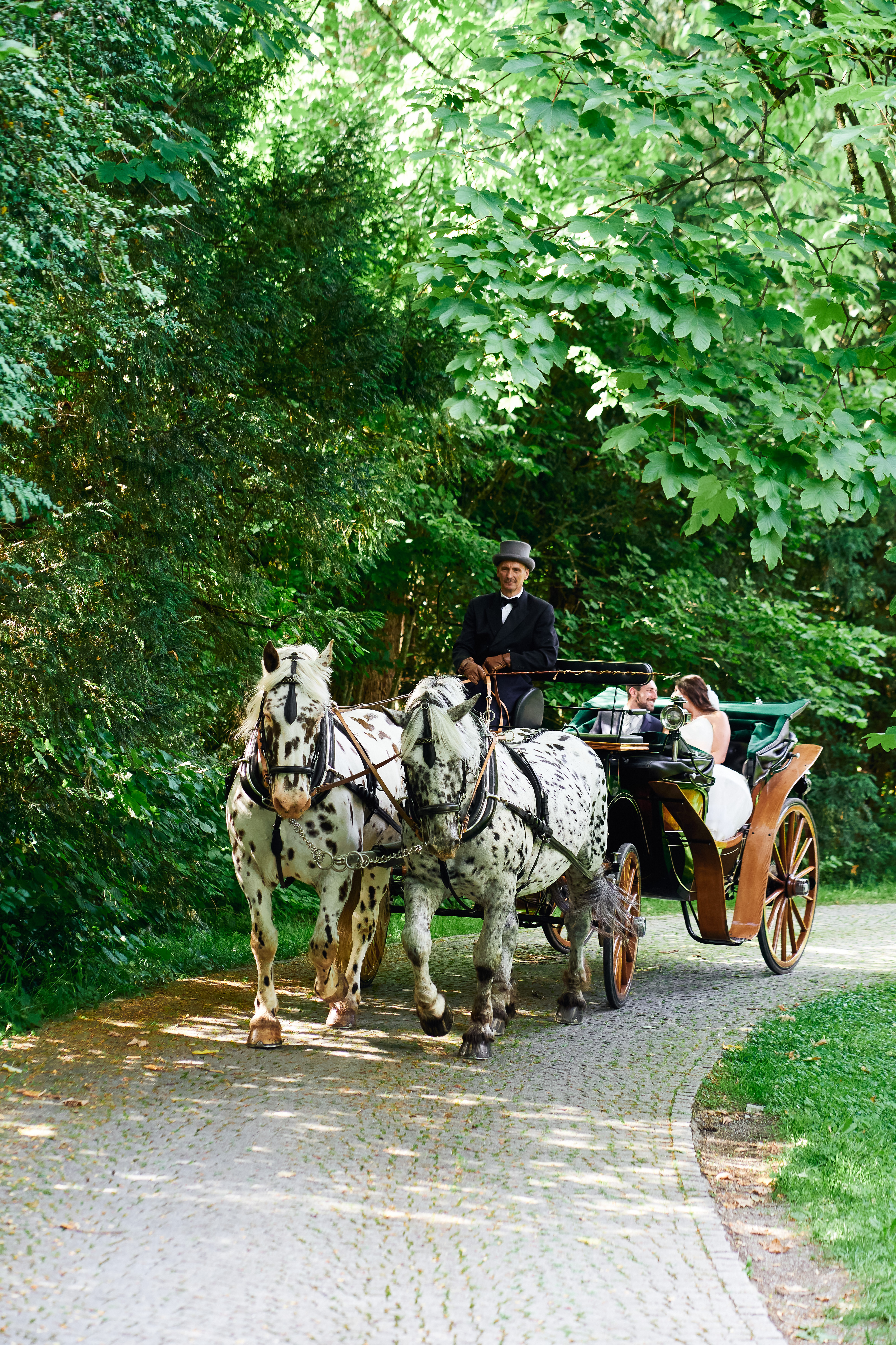 Hochzeitsauto - Kutschenerlebnis Fetz