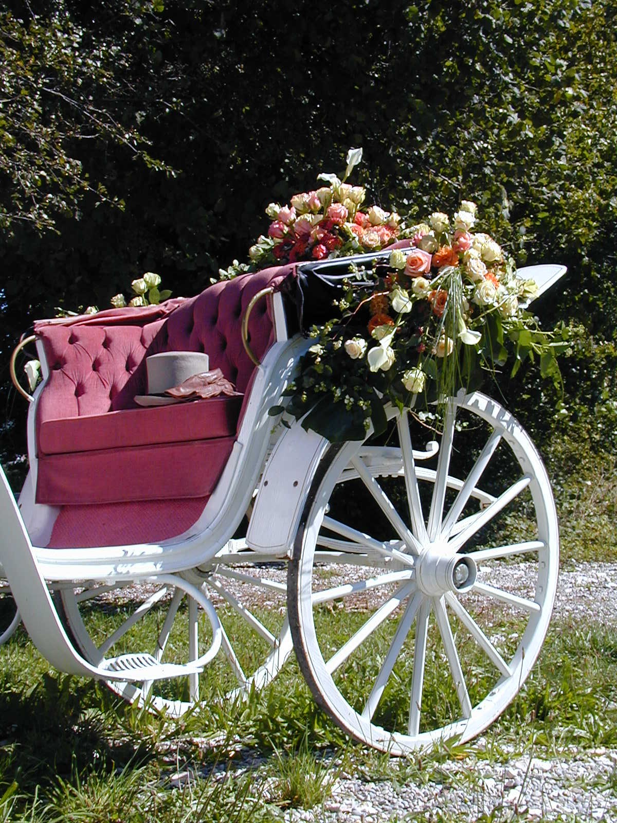 Hochzeitsauto - "Sehen und Gesehen werden" - Eine hochrepräsentative Erscheinung! - Kutschenverleih und Kutscherei Markus Wimmer