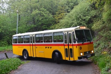 Hochzeitsauto: Schwyzer Poschti Saurer 3DUK-50 auf romantischer Strecke in der Eifel - Schwyzer Poschti - Oldtimer-Busfahrten im Rheinland