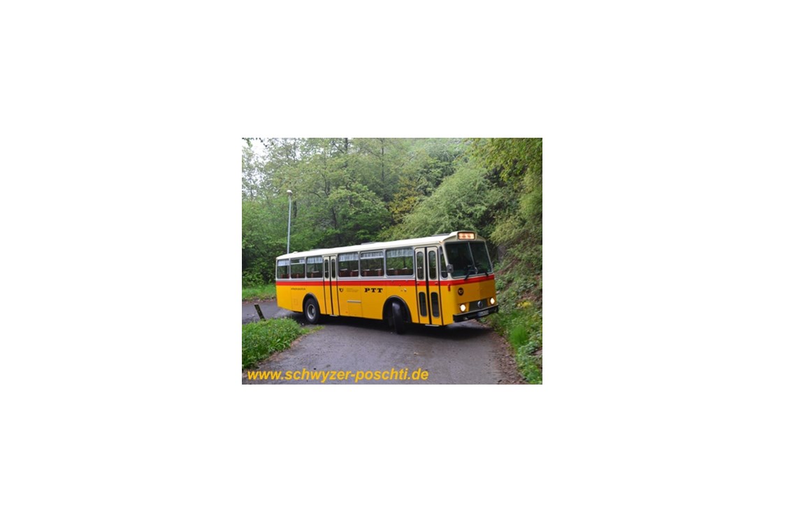 Hochzeitsauto: Schwyzer Poschti Saurer 3DUK-50 auf romantischer Strecke in der Eifel - Schwyzer Poschti - Oldtimer-Busfahrten im Rheinland