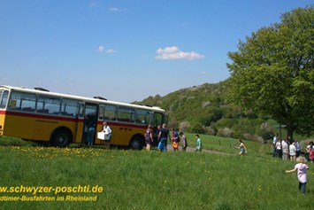 Hochzeitsauto: Schwyzer Poschti Oldtimer-Postbus auf Picnic-Rast im Siebengebirge - gemütliche Geburtstagsfahrt mit Familie und Freunden vom Bergischen Land ins Ahrtal mit Fähre über den Rhein - Schwyzer Poschti - Oldtimer-Busfahrten im Rheinland