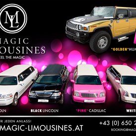 Hochzeitsauto: HUMMER Limousine von Magic Limousines