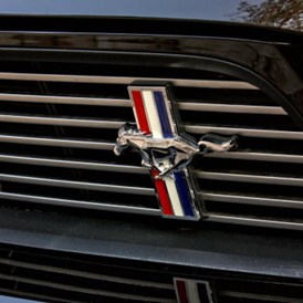 Hochzeitsauto: Ford Mustang Cabrio - Ford Mustang Cabrio von Autovermietung Ing. Alfred Schoenwetter