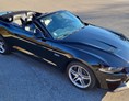 Hochzeitsauto: Ford Mustang GT5.0 Cabrio - Ford Mustang GT5.0 Cabrio von Autovermietung Ing. Alfred Schoenwetter