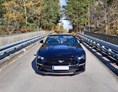 Hochzeitsauto: Ford Mustang GT5.0 Cabrio - Ford Mustang GT5.0 Cabrio von Autovermietung Ing. Alfred Schoenwetter