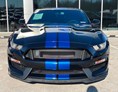 Hochzeitsauto: yellowhummer Ford Mustang Shelby GT 
